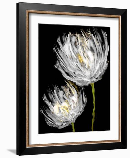 Tulips on Black II-Vanessa Austin-Framed Art Print