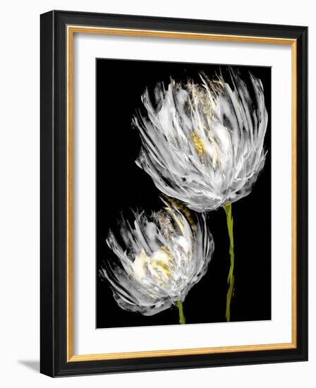 Tulips on Black II-Vanessa Austin-Framed Art Print