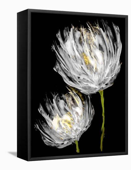 Tulips on Black II-Vanessa Austin-Framed Stretched Canvas