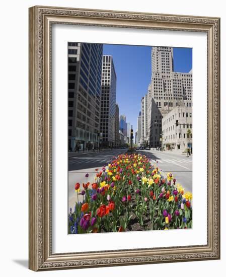 Tulips on North Michigan Avenue, the Magnificent Mile, Chicago, Illinois, USA-Amanda Hall-Framed Photographic Print