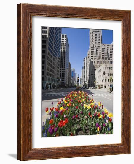 Tulips on North Michigan Avenue, the Magnificent Mile, Chicago, Illinois, USA-Amanda Hall-Framed Photographic Print