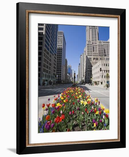 Tulips on North Michigan Avenue, the Magnificent Mile, Chicago, Illinois, USA-Amanda Hall-Framed Photographic Print