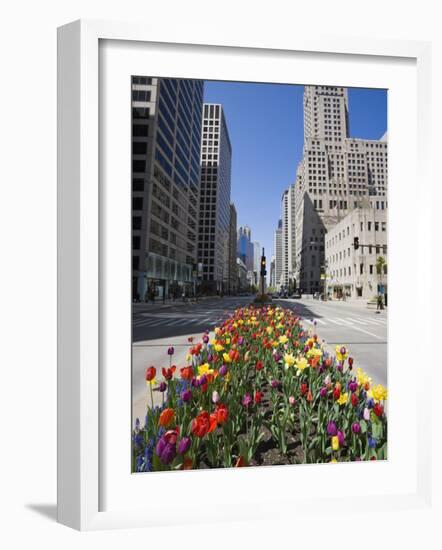 Tulips on North Michigan Avenue, the Magnificent Mile, Chicago, Illinois, USA-Amanda Hall-Framed Photographic Print