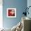 Tulips on Red-Ann Parr-Framed Giclee Print displayed on a wall