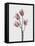 Tulips Pink-Design Fabrikken-Framed Premier Image Canvas