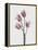 Tulips Pink-Design Fabrikken-Framed Premier Image Canvas