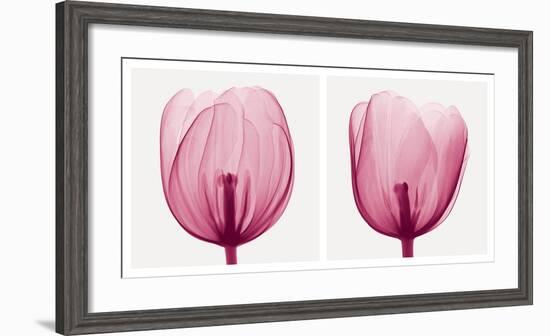 Tulips [Positive]-Steven N^ Meyers-Framed Art Print