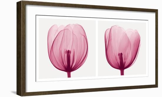 Tulips [Positive]-Steven N^ Meyers-Framed Art Print