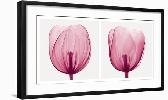 Tulips [Positive]-Steven N^ Meyers-Framed Art Print