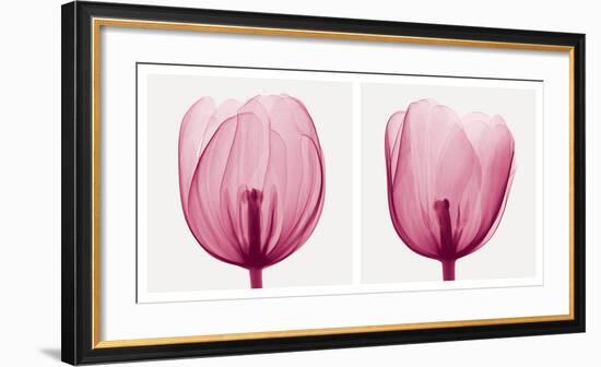 Tulips [Positive]-Steven N^ Meyers-Framed Art Print