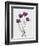 Tulips Purple-Design Fabrikken-Framed Photographic Print