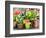 Tulips, Snowdrops and Narcissus Blooms-LiliGraphie-Framed Photographic Print