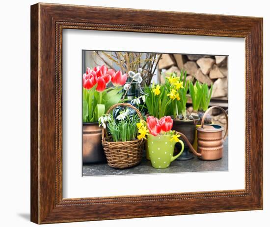 Tulips, Snowdrops and Narcissus Blooms-LiliGraphie-Framed Photographic Print