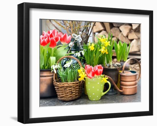 Tulips, Snowdrops and Narcissus Blooms-LiliGraphie-Framed Photographic Print