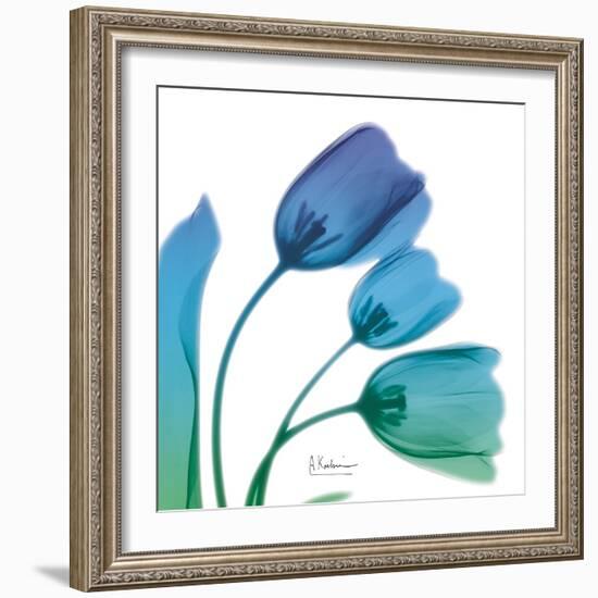 Tulips Turq Blue-Albert Koetsier-Framed Art Print