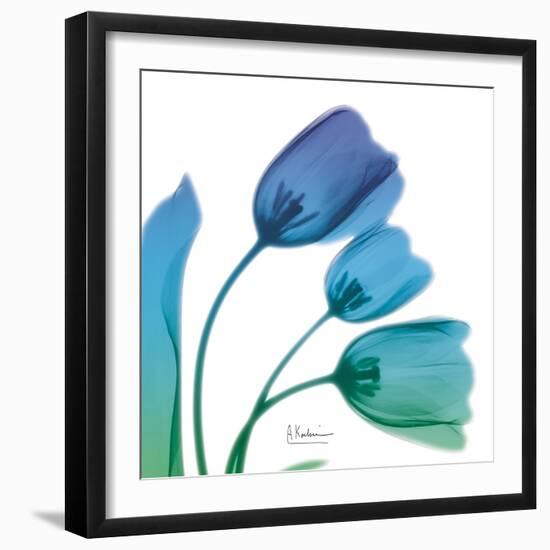 Tulips Turq Blue-Albert Koetsier-Framed Art Print