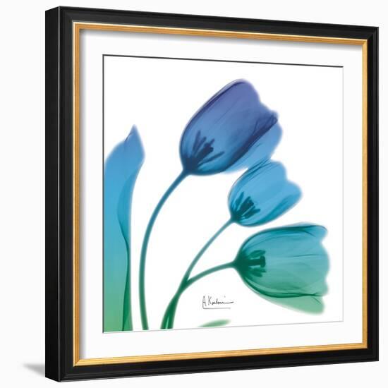 Tulips Turq Blue-Albert Koetsier-Framed Art Print