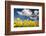 Tulips under Clear Sky-Craig Tuttle-Framed Photographic Print