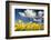 Tulips under Clear Sky-Craig Tuttle-Framed Photographic Print