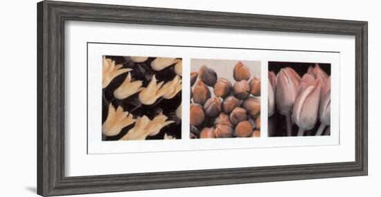 Tulips-null-Framed Art Print