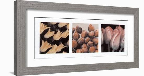 Tulips-null-Framed Art Print