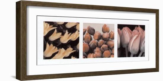 Tulips-null-Framed Art Print