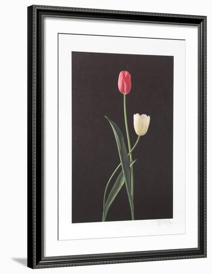 Tulips-Harvey Edwards-Framed Collectable Print