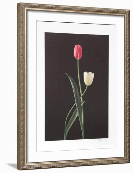 Tulips-Harvey Edwards-Framed Collectable Print