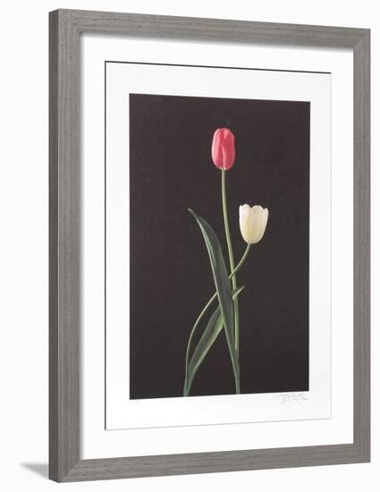 Tulips-Harvey Edwards-Framed Collectable Print