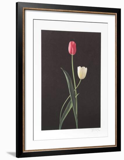 Tulips-Harvey Edwards-Framed Collectable Print