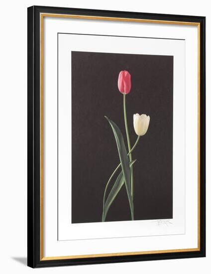 Tulips-Harvey Edwards-Framed Collectable Print