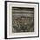 Tulips-Shigenu Narikawa-Framed Limited Edition