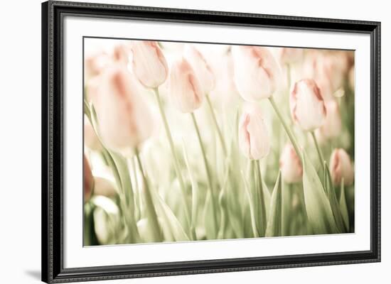 Tulips-Katja Marzahn-Framed Giclee Print