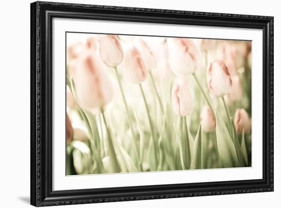 Tulips-Katja Marzahn-Framed Giclee Print