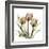 Tulips-Albert Koetsier-Framed Art Print