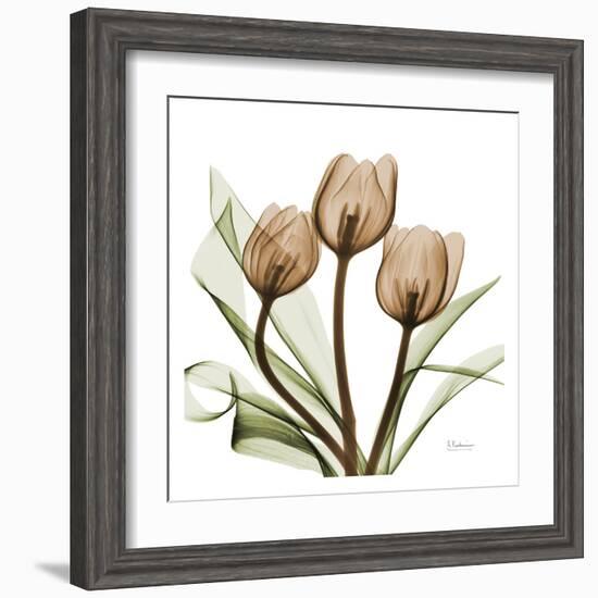 Tulips-Albert Koetsier-Framed Art Print