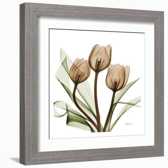 Tulips-Albert Koetsier-Framed Art Print