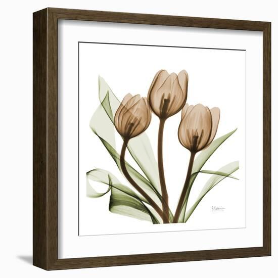 Tulips-Albert Koetsier-Framed Art Print