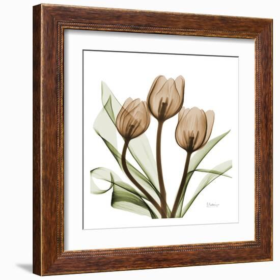 Tulips-Albert Koetsier-Framed Art Print