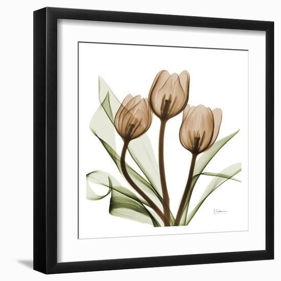 Tulips-Albert Koetsier-Framed Art Print