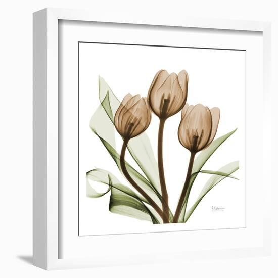 Tulips-Albert Koetsier-Framed Art Print