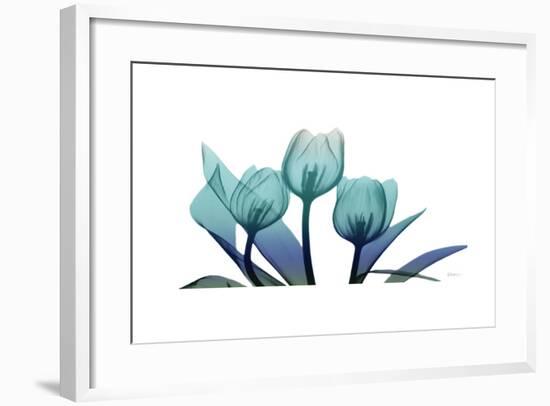 Tulips-Albert Koetsier-Framed Art Print