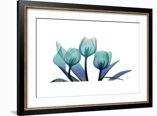 Tulips-Albert Koetsier-Framed Art Print