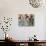 Tulips-Cindy Kassab-Photographic Print displayed on a wall