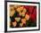 Tulips-Ike Leahy-Framed Photo