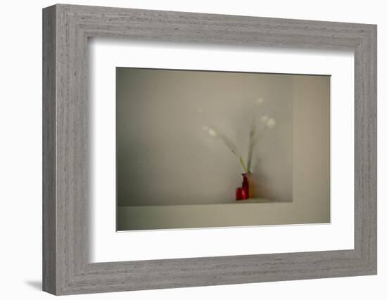 Tulips-Valda Bailey-Framed Photographic Print