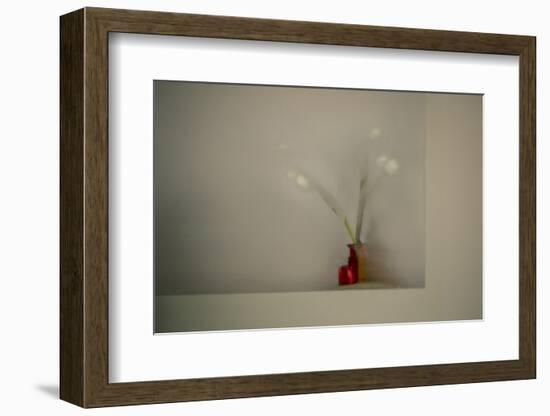 Tulips-Valda Bailey-Framed Photographic Print