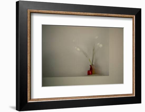 Tulips-Valda Bailey-Framed Photographic Print