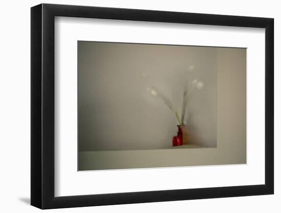 Tulips-Valda Bailey-Framed Photographic Print