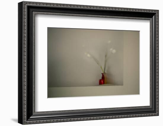 Tulips-Valda Bailey-Framed Photographic Print